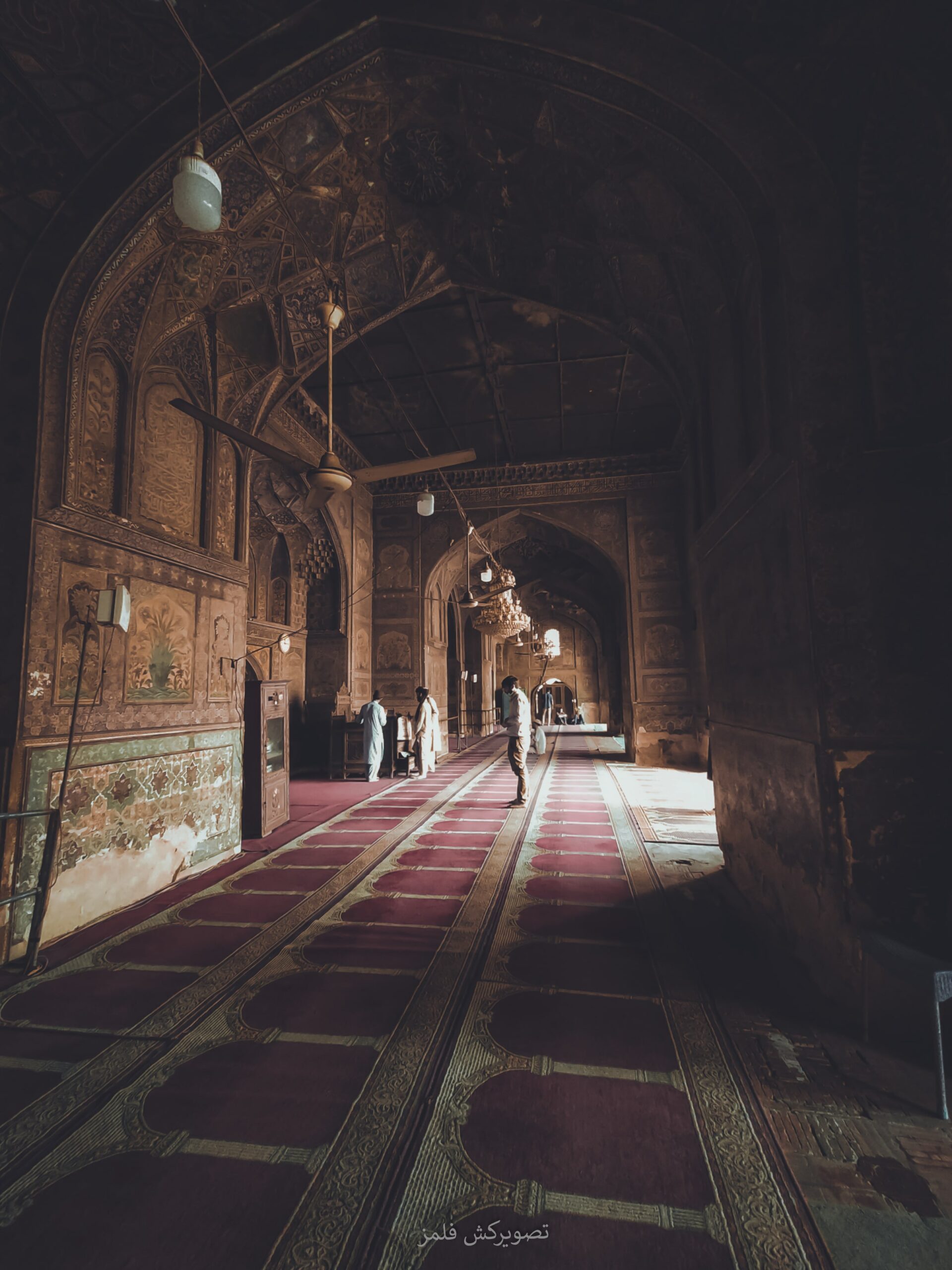 Portrait Photography